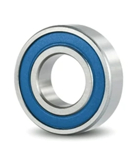 SS 6206 2RS (EU)