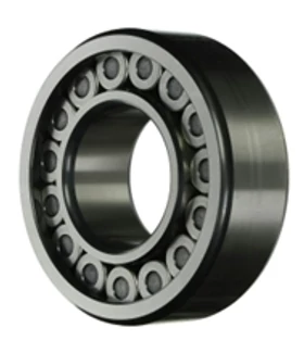 SL 04 5006 TP (B108) (INA)