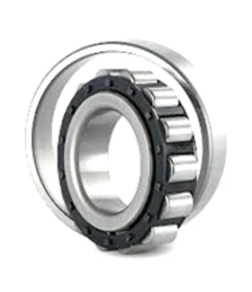 N 210 ECP (SKF)
